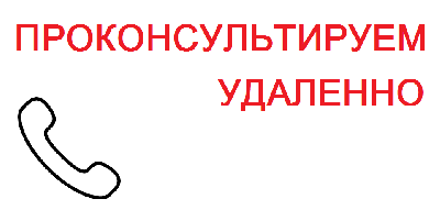 Компании Палаты будут консультировать клиентов удаленно Компании Палаты будут консультировать клиентов удаленно